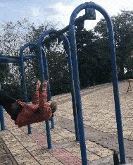 婆婆|经典笑话：家里只剩下一个梨了