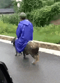 侄儿|搞笑GIF：弟兄们快跑吧，这个人有点二