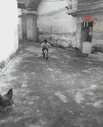 馒头|笑话:到网吧上网,没一会网管递过来一根烟,内心暗自窃喜