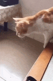 手相|搞笑段子：哥们二婚，打电话给前妻，她说：咱们又成一家人了….