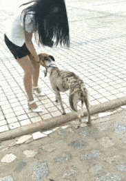 老妈|开心一笑GIF：在这样的地方开车真是太爽了，我也想试试