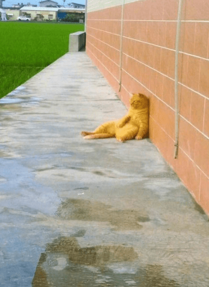 老丈|搞笑gif：兄台，你吃碗面，不至于吧！这面叫做黯然销魂面吧！