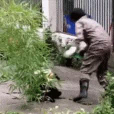 女友|爆笑GIF图：短跑冠军啊，九死一生的追逐