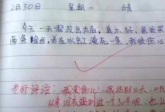 小學生搞笑作文這些作文寫的太奇葩了快把老師氣的吐血了