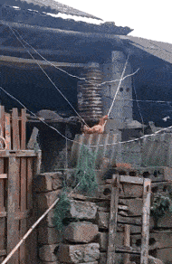 表姐|搞笑GIF：这个暑假可以这样让孩子乖乖写作业