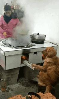 老王|幽默笑话：朋友买了条假金项链，天天戴着上班，有一次下夜班……