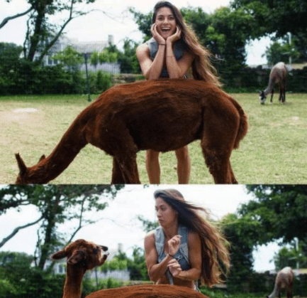 一碗水|搞笑段子动态图:“没用的,越亲打的越厉害”