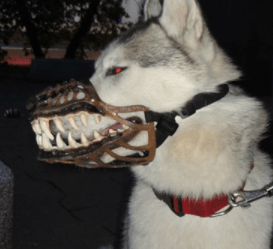 老婆|大姐你又不是第一次吃香蕉，至于么