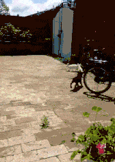 老婆|每日一笑:把二哈封印好了,可以放心的出门了