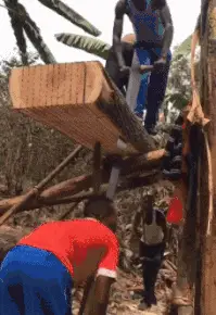 老婆|大姐你又不是第一次吃香蕉，至于么