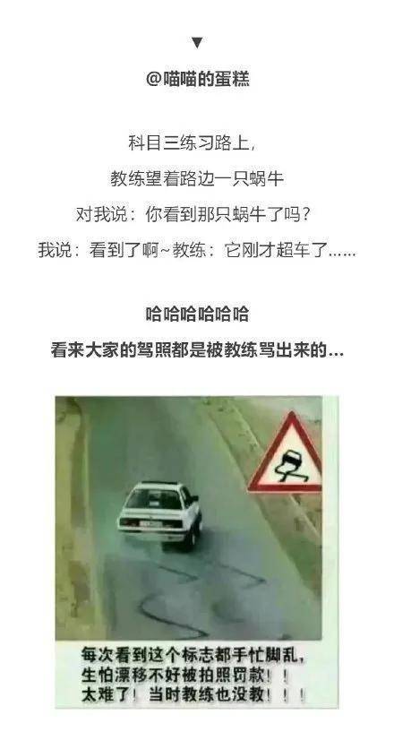 出口成章|忘不了出口成章的教练，骂起人来让人甘拜下风