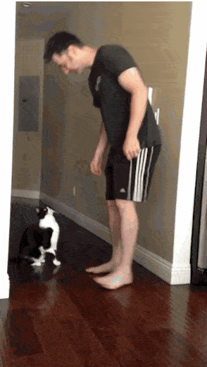 老婆|每日一笑:把二哈封印好了,可以放心的出门了