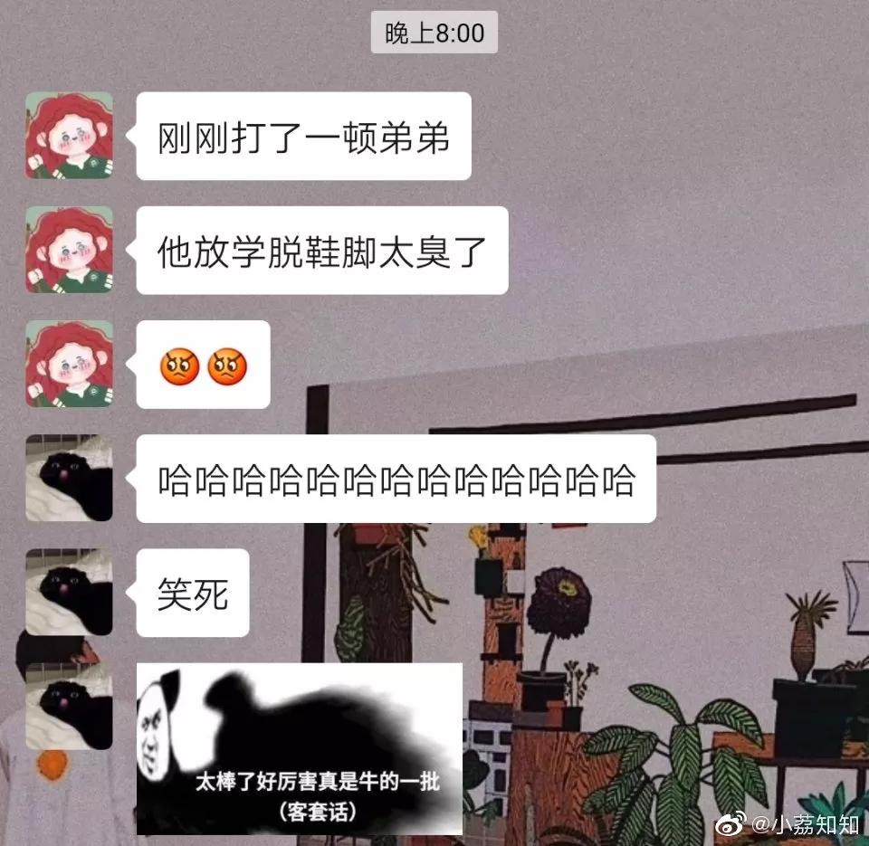 弟弟|无意间看到弟弟的搜索记录...哈哈哈笑死我了！