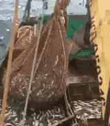 老婆|每日一笑:把二哈封印好了,可以放心的出门了