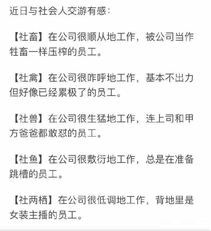 出口成章|忘不了出口成章的教练，骂起人来让人甘拜下风