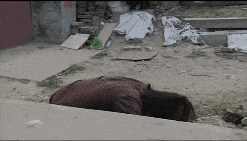 祭祖|每次祭祖烧纸币,下面的祖先是不是这种画面?