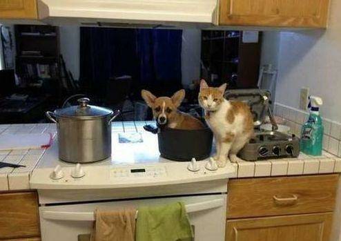 祭祖|每次祭祖烧纸币,下面的祖先是不是这种画面?