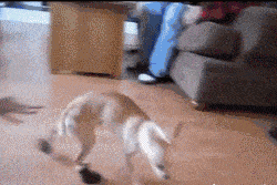 祭祖|每次祭祖烧纸币,下面的祖先是不是这种画面?