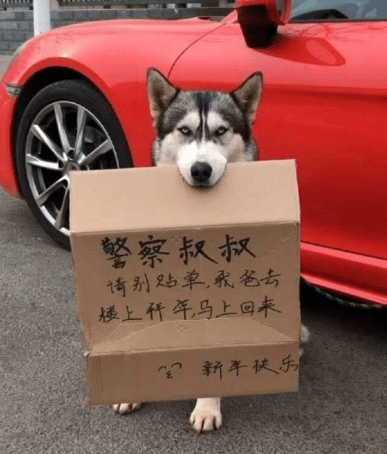 长头|搞笑段子搞笑GIF：这桌子菜买过单了，您慢吃，拜拜