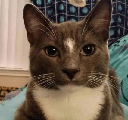 哥们|幽默段子:面试官问我,你觉得什么样的女人才叫成功