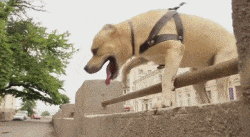 哥们|幽默段子:面试官问我,你觉得什么样的女人才叫成功