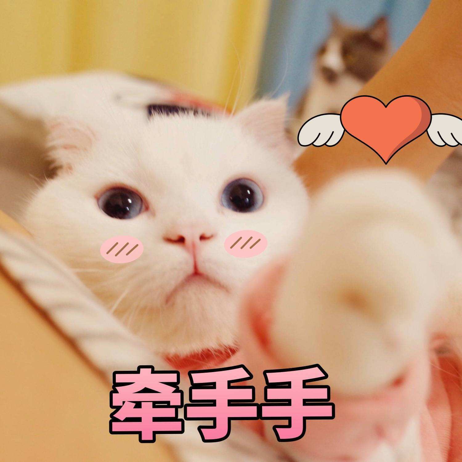 表哥|幽默笑话：跟女朋友在一起八年了 有件事我一直耿耿于怀