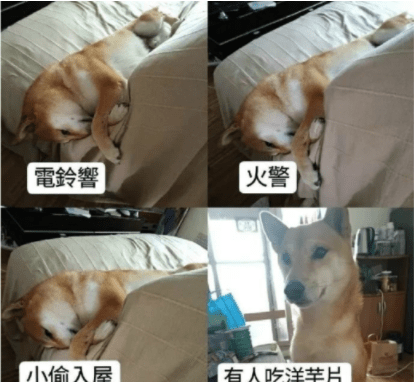 华佗|什么东西都敢丢