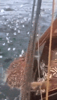 表妹|腿上的肉肉 别再说我瘦了 你看这肉抖的