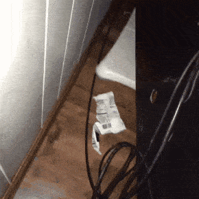 老板|你这鹌鹑蛋在哪里买的？我也想去买点