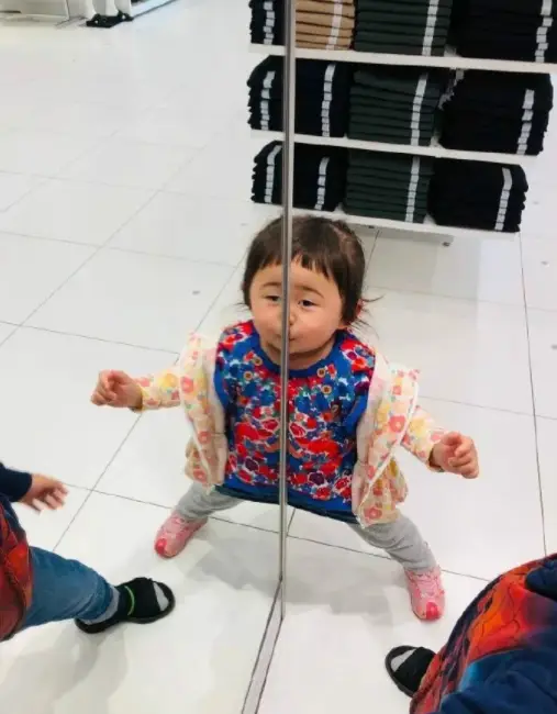 老板|你这鹌鹑蛋在哪里买的？我也想去买点