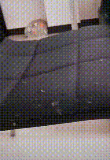 老板|你这鹌鹑蛋在哪里买的？我也想去买点