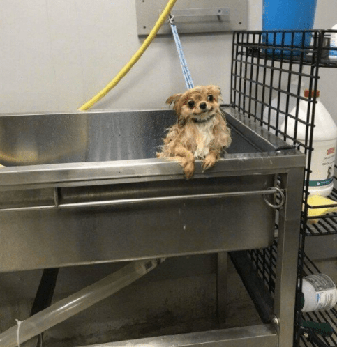 老妈|男人骚起来果然没女人什么事儿了