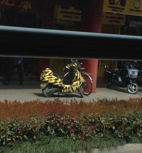 老板|你这鹌鹑蛋在哪里买的？我也想去买点