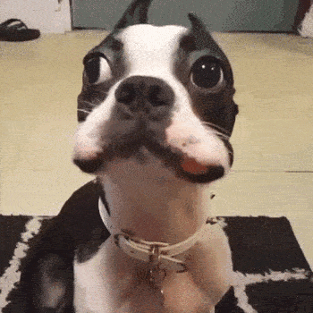 今天|幽默笑话 我昨天捡到一把刀 我想拿你祭天