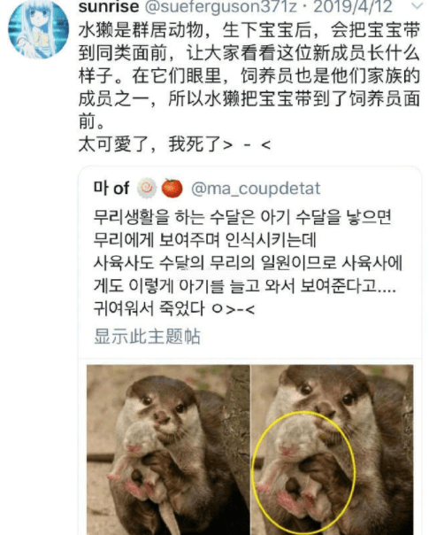 老师|"笑话:高中那会,有个女老师外号灭绝师太!超级严格,坏学生克星"