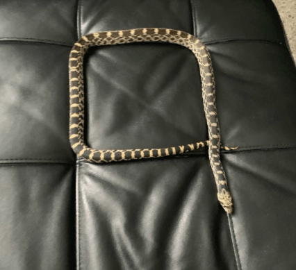 司机|搞笑GIF动图：哇塞！这个女孩子好帅气！