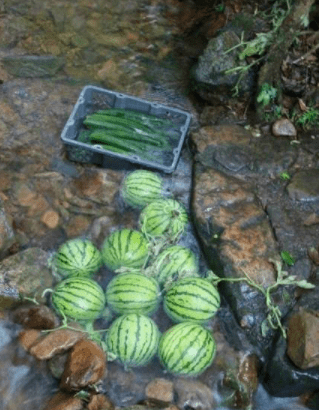 老板|走开,劳资不好这口,讨厌