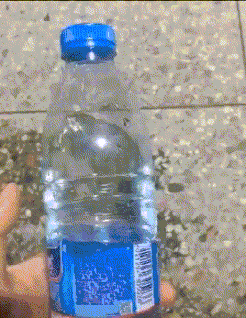 公主|这位大爷，骑车已经骑车了一种境界