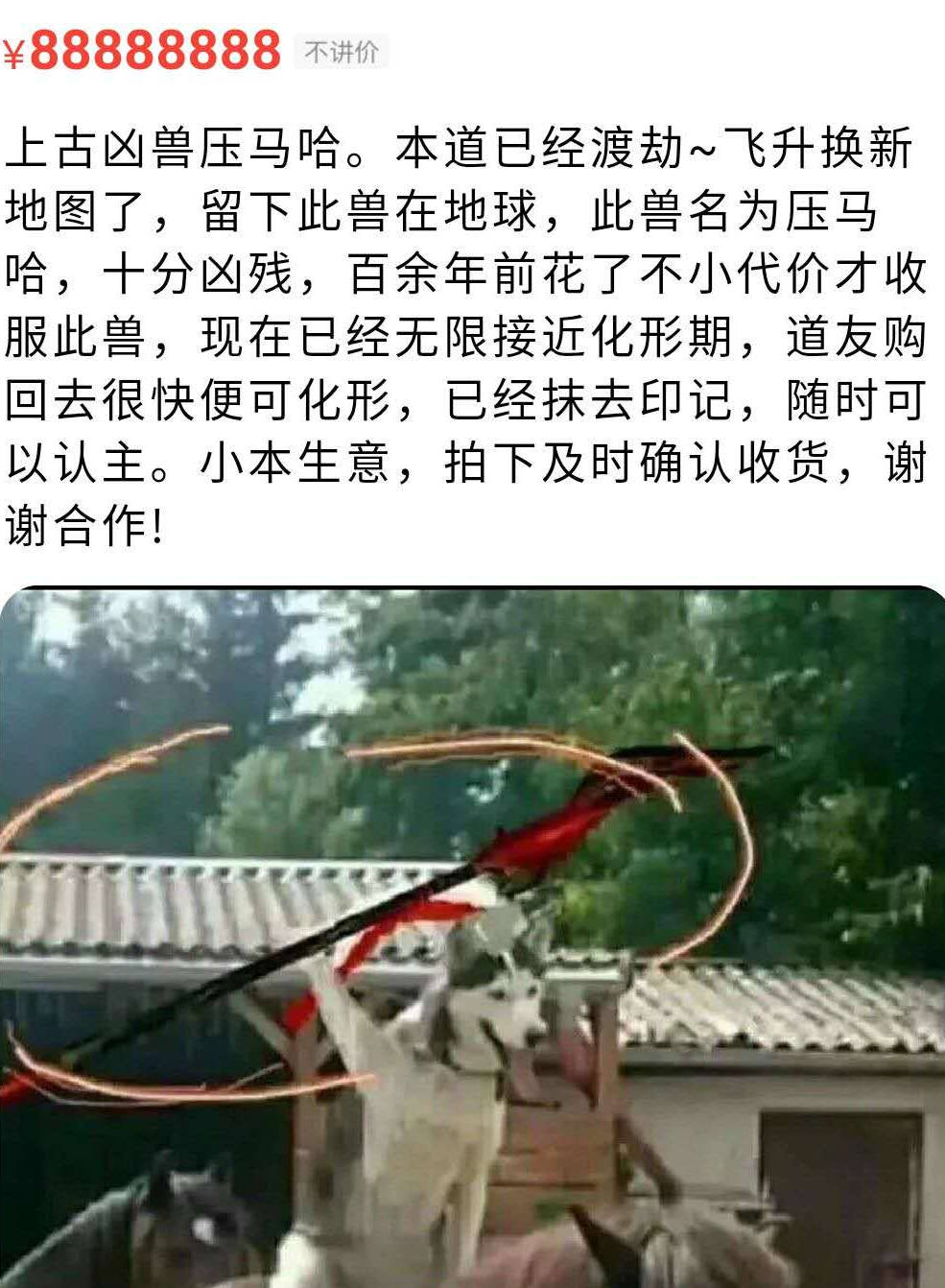 单身|每日一笑，快乐每一天