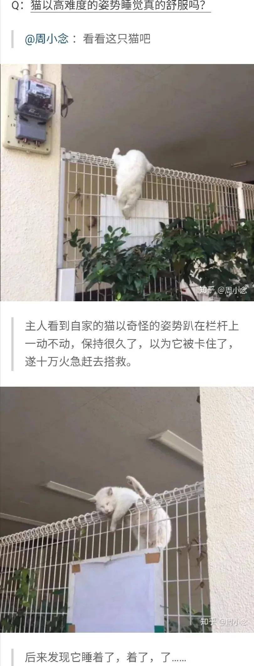 大妈|在网上买了一面镜子，结果打开一看…差点当场去世！