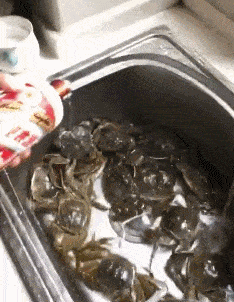 小明|妹子，扛着大米爬楼梯很累的，让我帮你吧