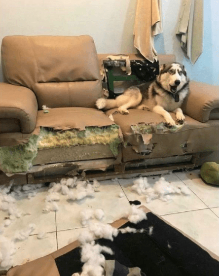 小明|妹子，扛着大米爬楼梯很累的，让我帮你吧