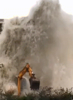 妹子|大哥，这样开车，你不冷吗