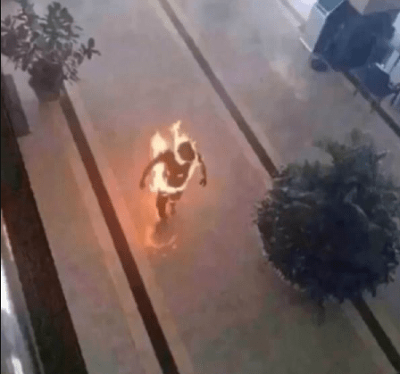 公主|这位大爷，骑车已经骑车了一种境界