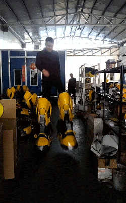 西瓜|笑话：昨日上班，手机突然收到个信息：亲，我怀孕了