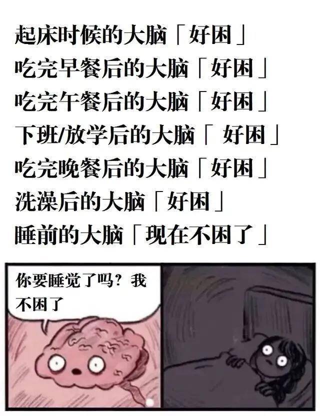 圆脸|事实证明：圆脸比瓜子脸好看，不服来辩