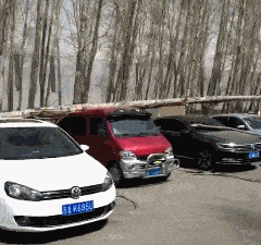 老公|爆笑GIF：闺蜜的老公出差回来帮她买了一件貂皮大衣