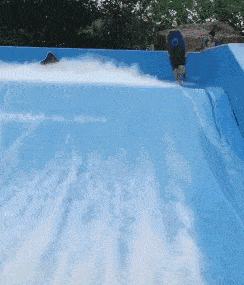 禅师|搞笑GIF趣图:最后这个赶紧来起个名吧,已经词穷了