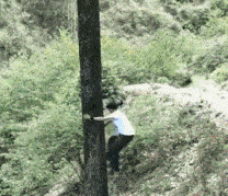 老公|爆笑GIF：闺蜜的老公出差回来帮她买了一件貂皮大衣