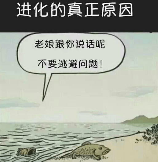 老妈|搞笑GIF：哥们，你可真是会骗人